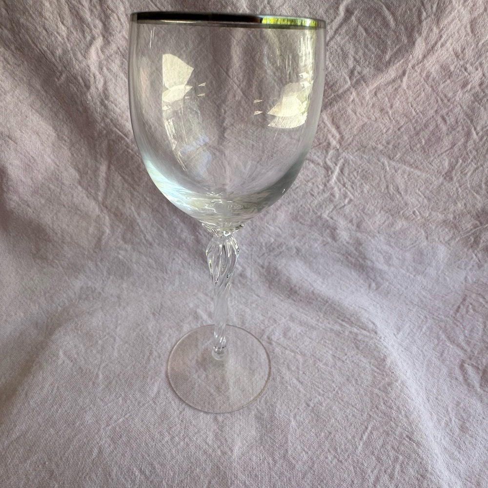 Elegant Silver-Rimmed Wine Glass